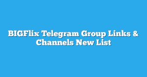 Read more about the article BIGFlix Telegram Group Links & Channels New List