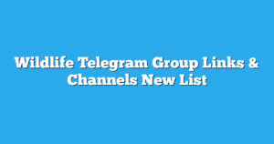 Read more about the article Wildlife Telegram Group Links & Channels New List